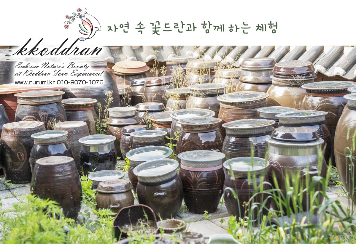 김치담그기 김장체험