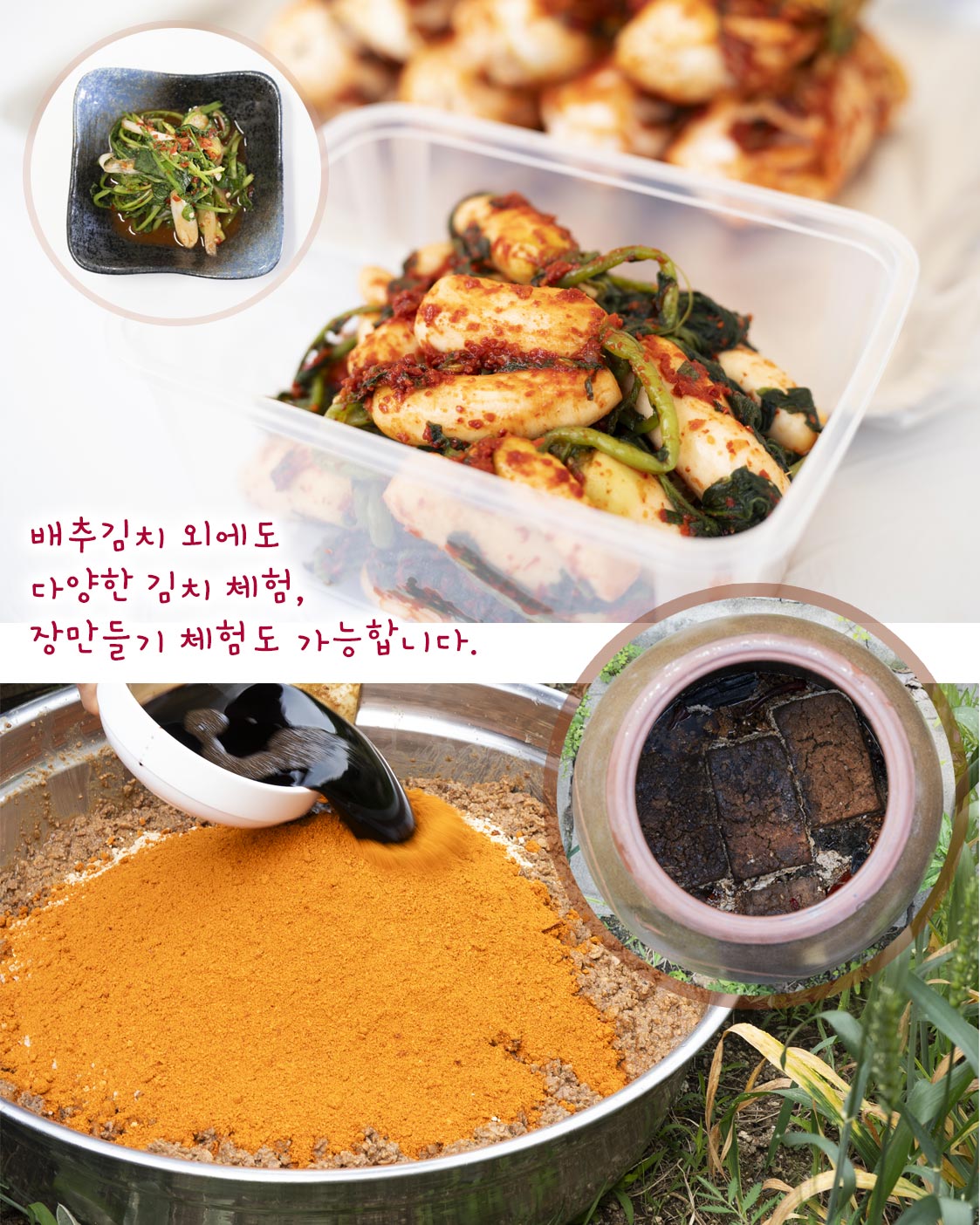 김치담그기 김장체험